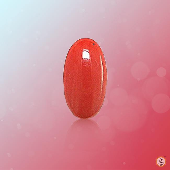 Brahmatells Red Coral Oval-Apple-Red: Mars-Aligned Gemstone for Strength - BrahmatellsStore
