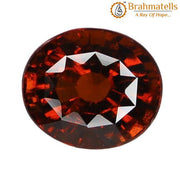 Brahmatells Sri Lankan Hessonite Gomed: Embrace Saturn's Astrological Essence - BrahmatellsStore