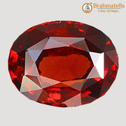 Brahmatells Sri Lankan Hessonite Gomed: Embrace Saturn's Astrological Essence - BrahmatellsStore