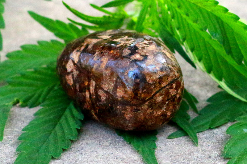 Bronzite Tumble - BrahmatellsStore