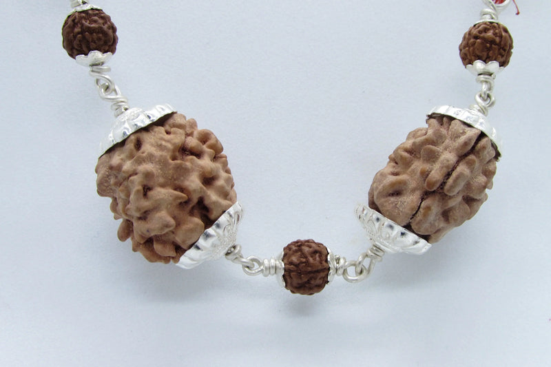 Cancer Zodiac Rudraksh Combination - 2 Mukhi Indian Beads for Lunar Harmony | Brahmatells - BrahmatellsStore