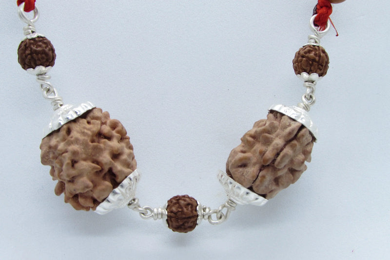 Cancer Zodiac Rudraksh Combination - 2 Mukhi Indian Beads for Lunar Harmony | Brahmatells - BrahmatellsStore