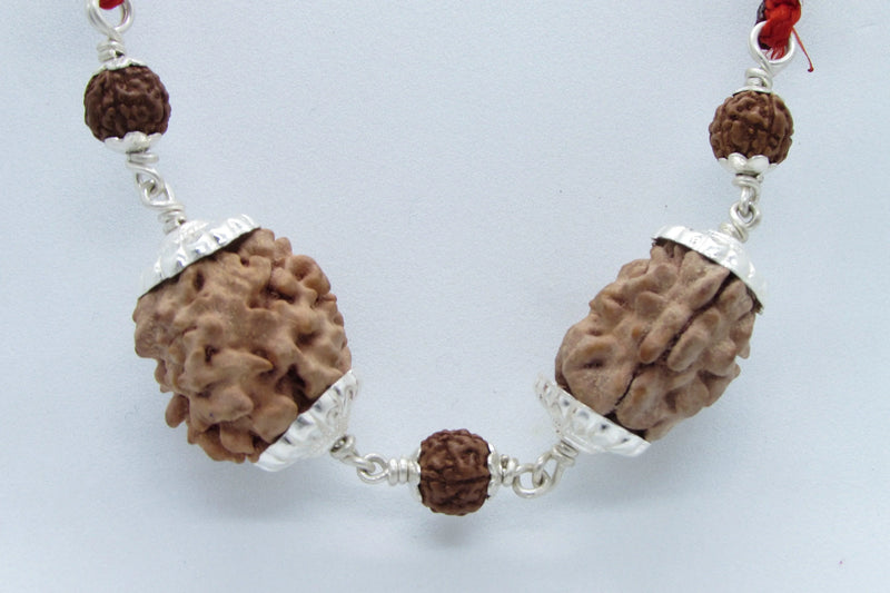 Cancer Zodiac Rudraksh Combination - 2 Mukhi Indian Beads for Lunar Harmony | Brahmatells - BrahmatellsStore