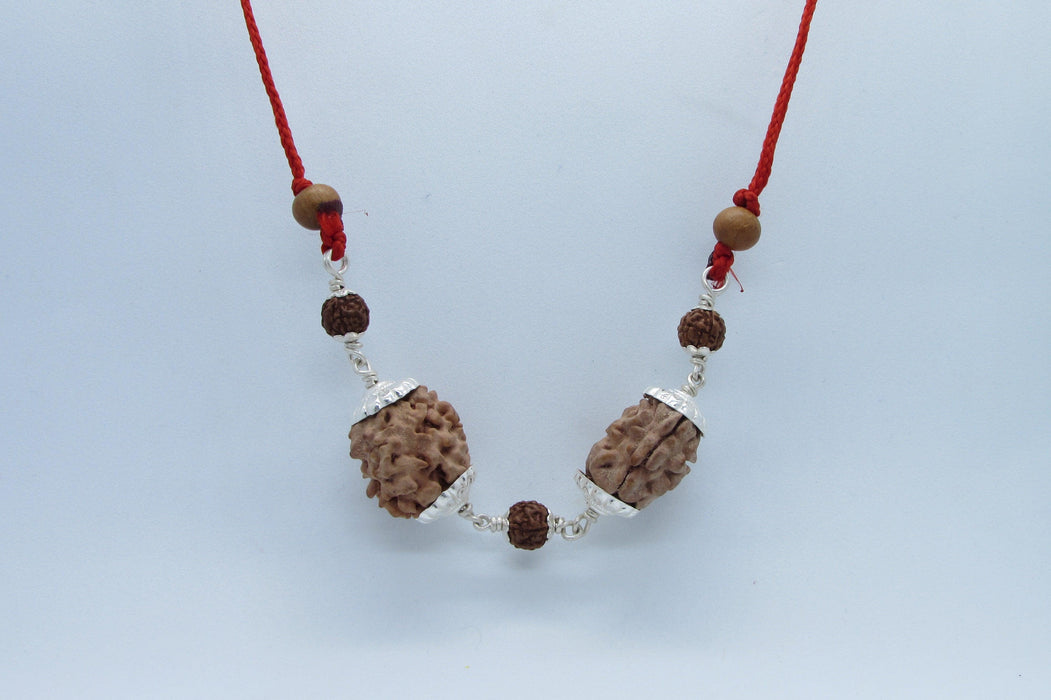 Cancer Zodiac Rudraksh Combination - 2 Mukhi Indian Beads for Lunar Harmony | Brahmatells - BrahmatellsStore