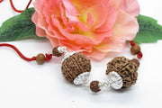 Capricorn Zodiac Rudraksh Combination - 7 Mukhi Nepal Beads for Saturn Alignment | Brahmatells - BrahmatellsStore