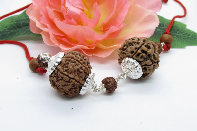 Capricorn Zodiac Rudraksh Combination - 7 Mukhi Nepal Beads for Saturn Alignment | Brahmatells - BrahmatellsStore