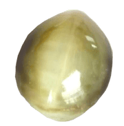 Cats Eye beige BTCE103GSM - BrahmatellsStore