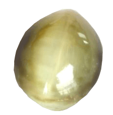 Cats Eye beige BTCE103GSM - BrahmatellsStore