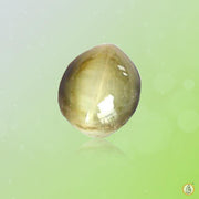 Cats Eye beige BTCE103GSM - BrahmatellsStore