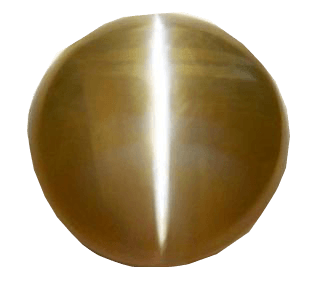 Cats Eye cinnamon-brown BTCE111GSM - BrahmatellsStore