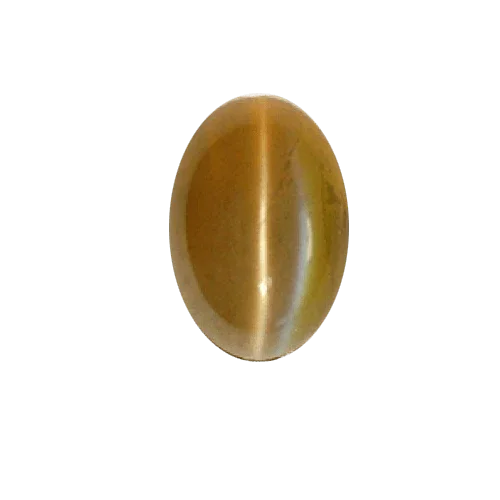 Cats Eye coffee BTCE108GSM - BrahmatellsStore