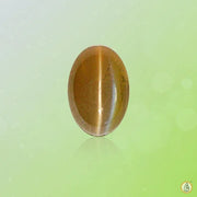 Cats Eye coffee BTCE108GSM - BrahmatellsStore