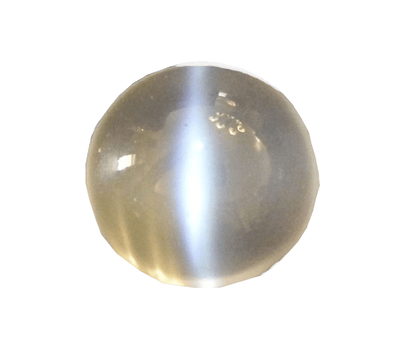 Cats Eye grey BTCE102GSM - BrahmatellsStore