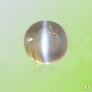 Cats Eye grey BTCE102GSM - BrahmatellsStore