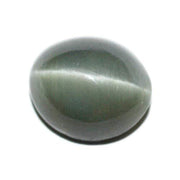 Cats Eye (Lehsunia) - BrahmatellsStore