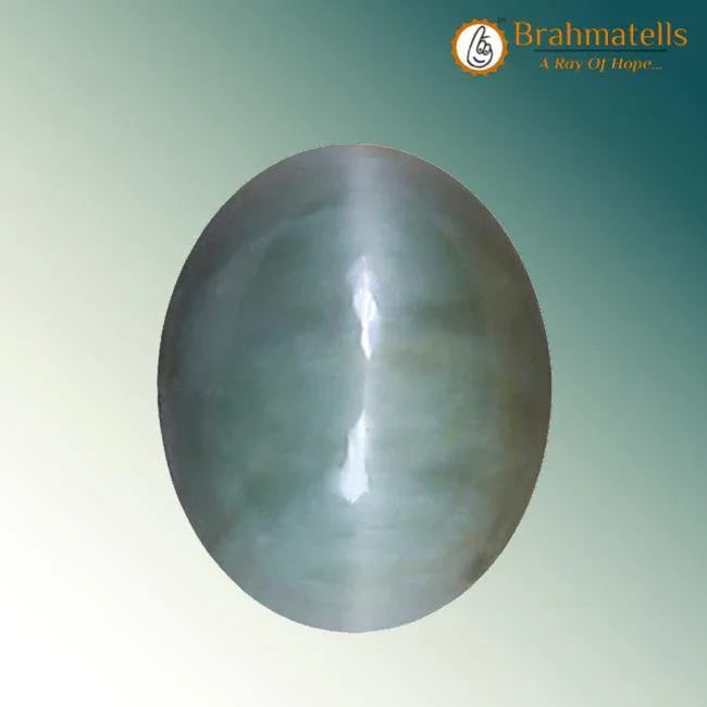 Cats Eye (Lehsunia) - BrahmatellsStore