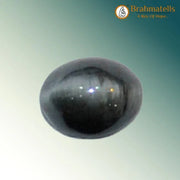 Cats Eye (Lehsunia) - BrahmatellsStore