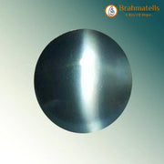 Cats Eye (Lehsunia) Brazil - BrahmatellsStore