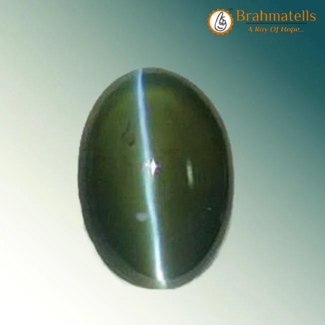 Cats Eye (Lehsunia) Brazil - BrahmatellsStore