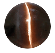 Cats Eye mocha-brown BTCE114GSM - BrahmatellsStore