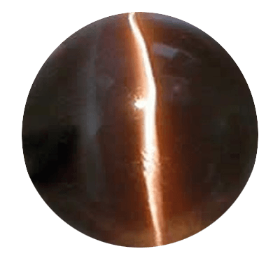 Cats Eye mocha-brown BTCE114GSM - BrahmatellsStore