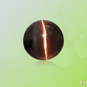 Cats Eye mocha-brown BTCE114GSM - BrahmatellsStore