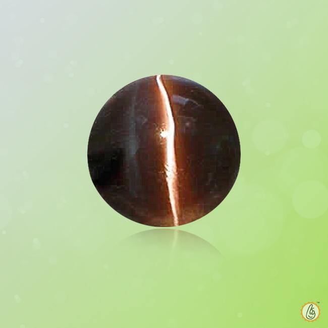 Cats Eye mocha-brown BTCE114GSM - BrahmatellsStore