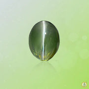 Cats Eye moss-green BTCE107GSM - BrahmatellsStore