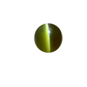 Cats Eye pickle-pine BTCE109GSM - BrahmatellsStore