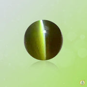 Cats Eye pickle-pine BTCE109GSM - BrahmatellsStore