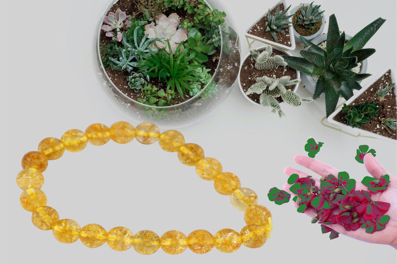 Citrine Prosperity Bracelet | Brahmatells Astrological Accessories - BrahmatellsStore
