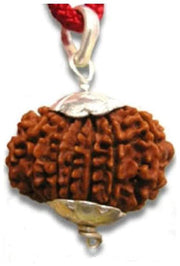 Collector 12 Mukhi Rudraksha Pendant - Leadership & Radiance | Brahmatells - BrahmatellsStore