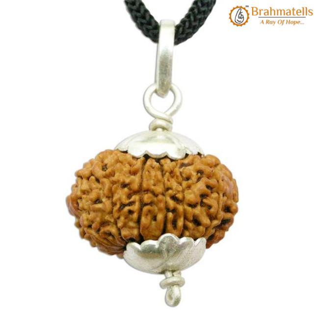 Collector 12 Mukhi Rudraksha Pendant - Leadership & Radiance | Brahmatells - BrahmatellsStore