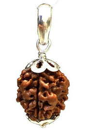 Collector 3 Mukhi Rudraksha Pendant - Fire Energy & Purification | Brahmatells - BrahmatellsStore