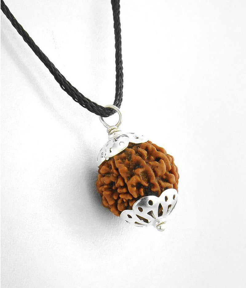 Collector 3 Mukhi Rudraksha Pendant - Fire Energy & Purification | Brahmatells - BrahmatellsStore