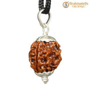 Collector 3 Mukhi Rudraksha Pendant - Fire Energy & Purification | Brahmatells - BrahmatellsStore