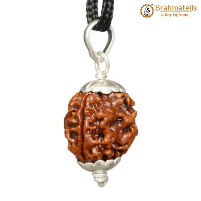 Collector 3 Mukhi Rudraksha Pendant - Fire Energy & Purification | Brahmatells - BrahmatellsStore