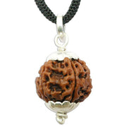 Collector 5 Mukhi Rudraksha Pendant: Spiritual Depth | Brahmatells - BrahmatellsStore