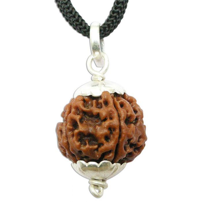 Collector 5 Mukhi Rudraksha Pendant: Spiritual Depth | Brahmatells - BrahmatellsStore