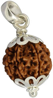 Collector 5 Mukhi Rudraksha Pendant: Spiritual Depth | Brahmatells - BrahmatellsStore