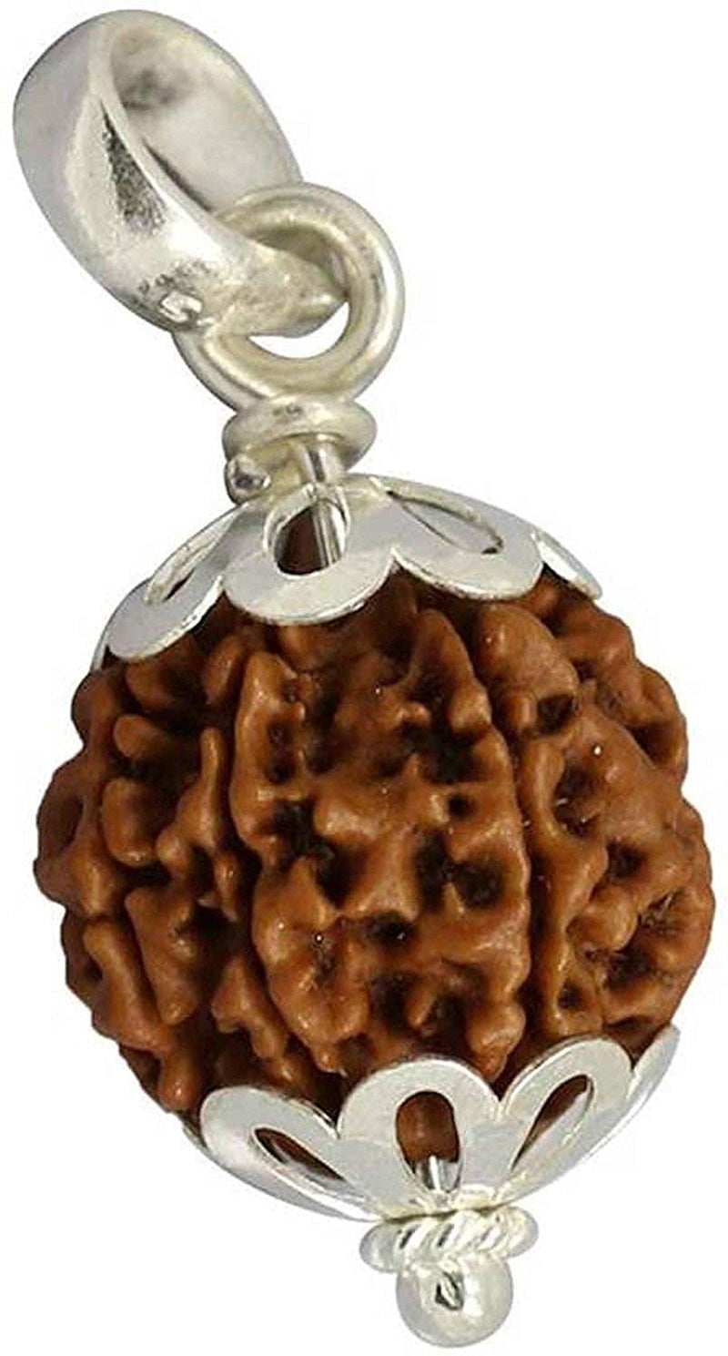 Collector 5 Mukhi Rudraksha Pendant: Spiritual Depth | Brahmatells - BrahmatellsStore