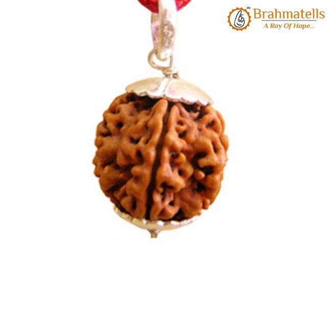 Collector 5 Mukhi Rudraksha Pendant: Spiritual Depth | Brahmatells - BrahmatellsStore