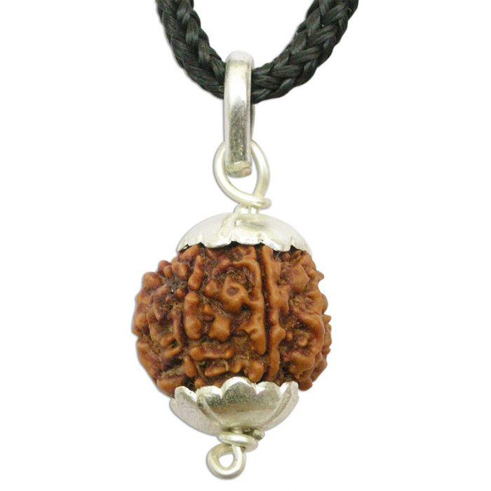 Collector 6 Mukhi Rudraksha Pendant - Wisdom & Eloquence | Brahmatells - BrahmatellsStore