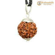 Collector 6 Mukhi Rudraksha Pendant - Wisdom & Eloquence | Brahmatells - BrahmatellsStore