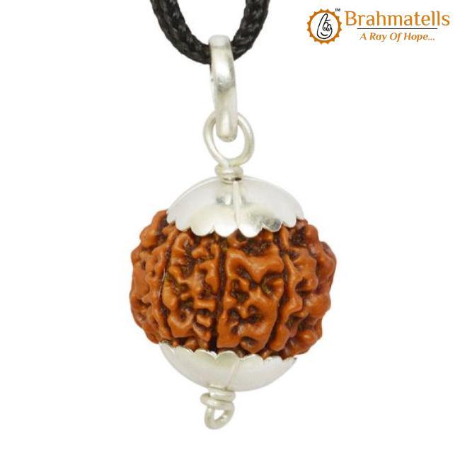 Collector 7 Mukhi Rudraksha Pendant - Prosperity & Health Blessings | Brahmatells - BrahmatellsStore
