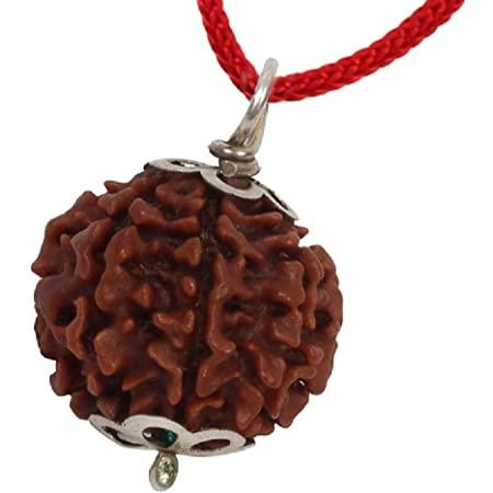 Collector 7 Mukhi Rudraksha Pendant - Prosperity & Health Blessings | Brahmatells - BrahmatellsStore