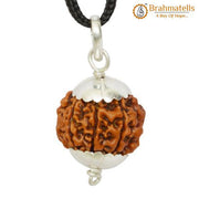 Collector 7 Mukhi Rudraksha Pendant - Prosperity & Health Blessings | Brahmatells - BrahmatellsStore