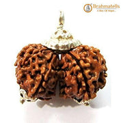 Collector Gauri Shankar Rudraksha Pendant - Divine Harmony & Unity | Brahmatells - BrahmatellsStore