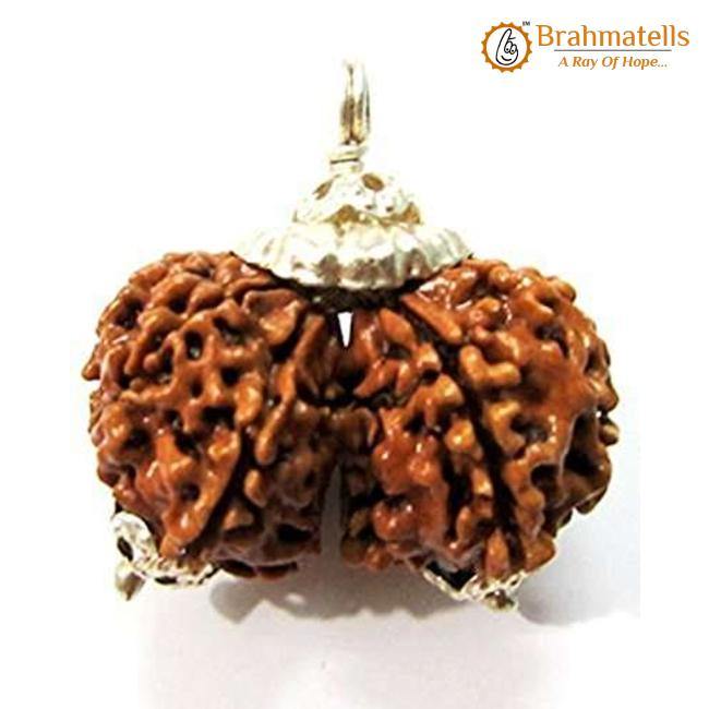 Collector Gauri Shankar Rudraksha Pendant - Divine Harmony & Unity | Brahmatells - BrahmatellsStore