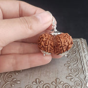 Collector Size Gauri Shankar Rudraksha Pendant - Divine Harmony | Brahmatells - BrahmatellsStore